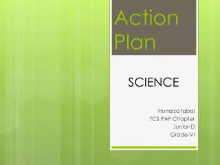 Action Plan