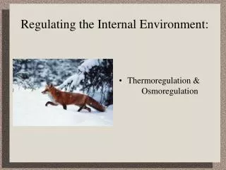 Regulating the Internal Environment: