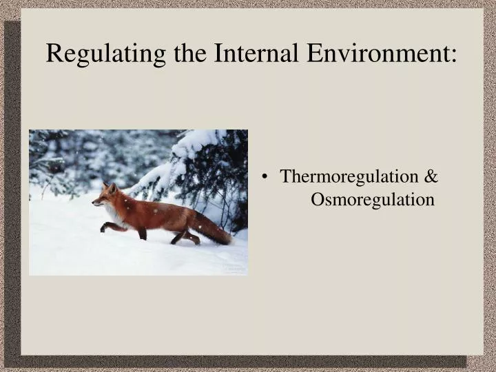 regulating the internal environment