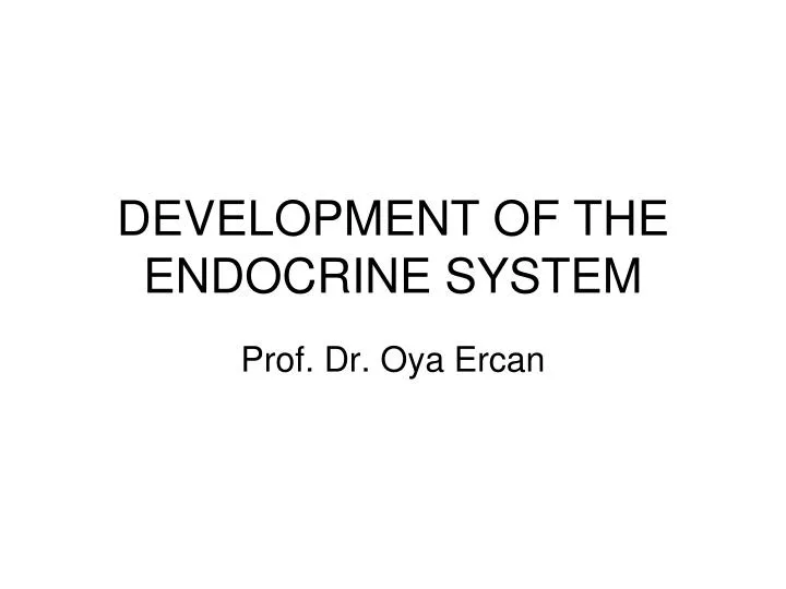 development of the endocrine system