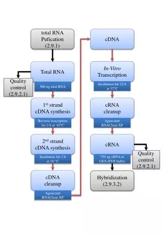 Total RNA