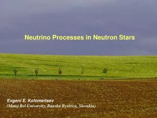 Neutrino Processes in Neutron Stars