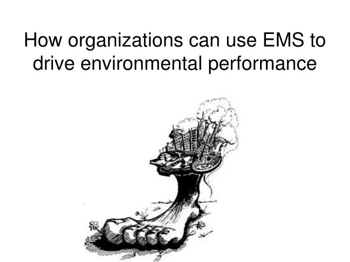 how organizations can use ems to drive environmental performance