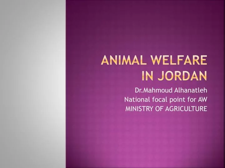 animal welfare in jordan