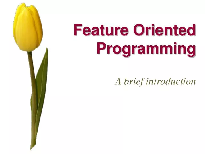feature oriented programming