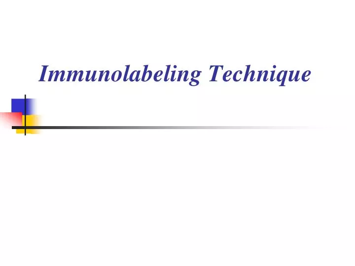 immunolabeling technique