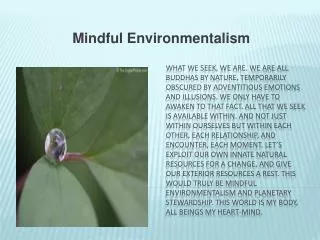 Mindful Environmentalism