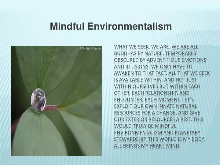 mindful environmentalism