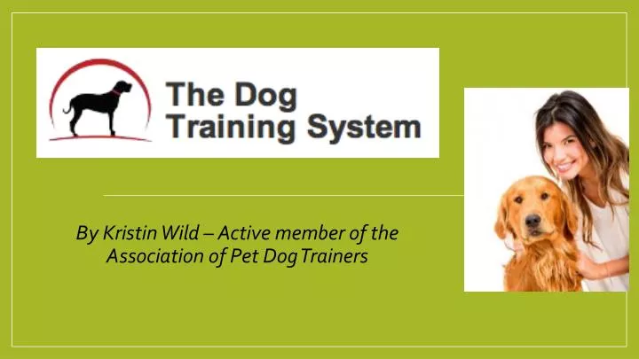 b y kristin wild active member of the association of pet dog trainers