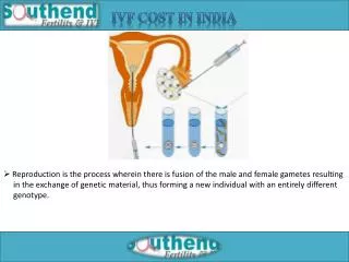 IVF Cost In India, IVF, IVF Treatment, IVF Success Rate