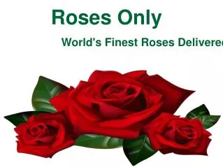 Roses Only - World's Finest Roses Delivered