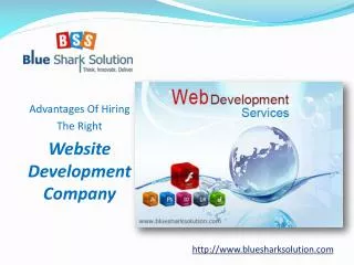Advantages of hiring the right website development company: