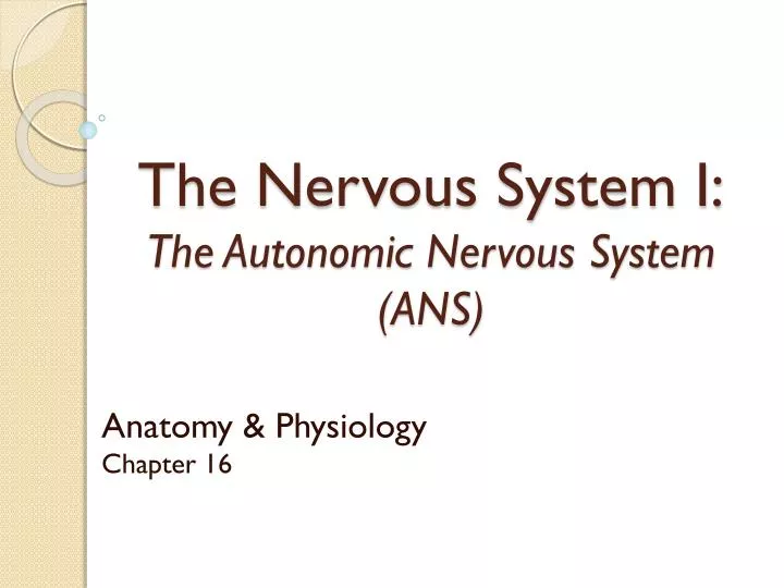 the nervous system i the autonomic nervous system ans