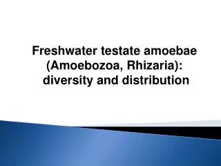 Freshwater testate amoebae (Amoebozoa, Rhizaria): diversity and distribution