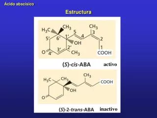 estructura