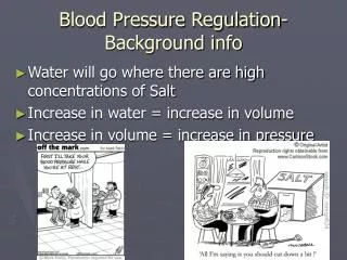 Blood Pressure Regulation- Background info