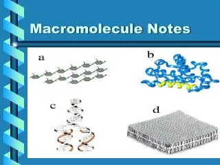Macromolecule Notes