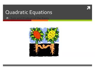 Quadratic Equations