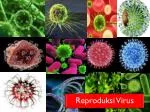 Reproduksi Virus - slide 1
