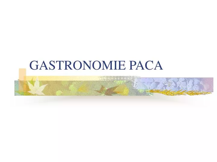 gastronomie paca