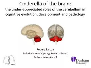 Robert Barton Evolutionary Anthropology Research Group, Durham University, UK