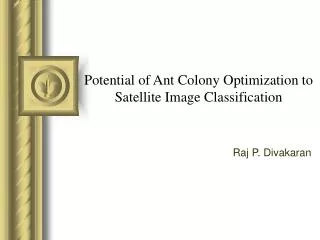 Potential of Ant Colony Optimization to Satellite Image Classification