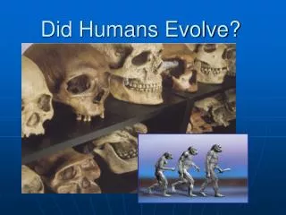 Did Humans Evolve?