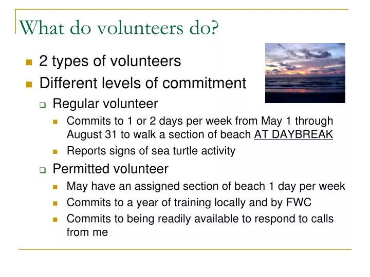 what do volunteers do