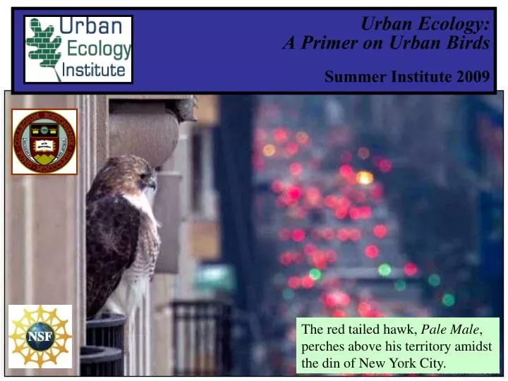 urban ecology a primer on urban birds summer institute 2009