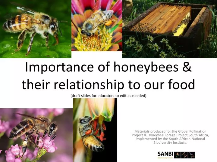 importance of honeybees their relationship to our food draft slides for educators to edit as needed