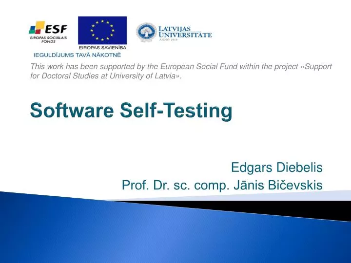 software self testing