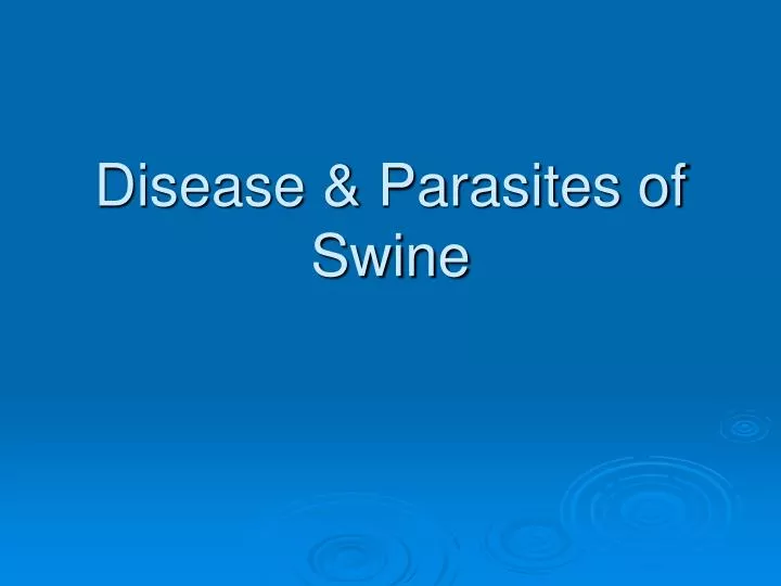 disease parasites of swine