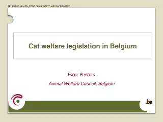 Cat welfare legislation in Belgium