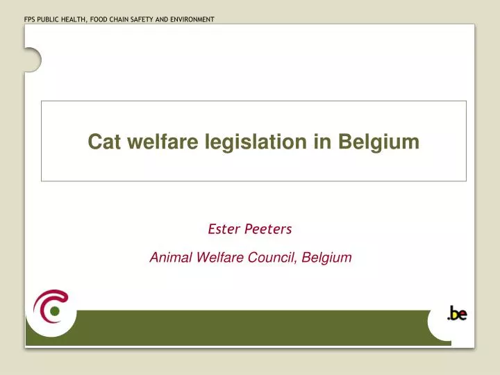 cat welfare legislation in belgium