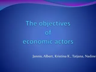 The objectives of economic actors