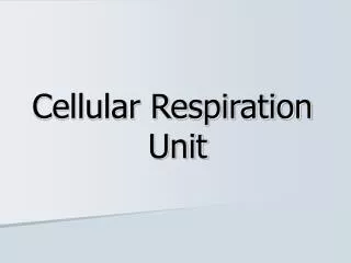 Cellular Respiration Unit