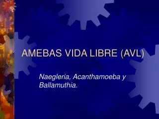 amebas vida libre avl