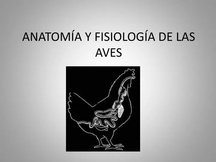 anatom a y fisiolog a de las aves