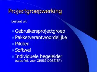 projectgroepwerking