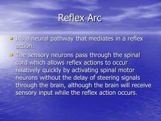 Reflex Arc