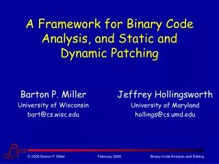 A Framework for Binary Code Analysis, and Static and Dynamic Patching