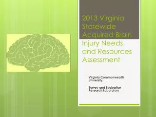 2013 Virginia Statewide Acquired Brain Injury Needs and Resources Assessment