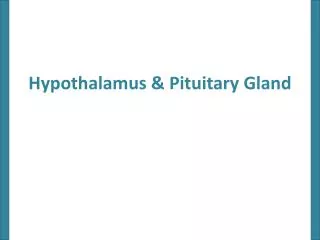 Hypothalamus &amp; Pituitary Gland