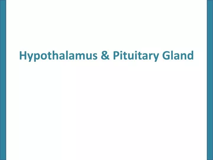 hypothalamus pituitary gland