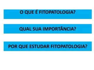 qual sua import ncia