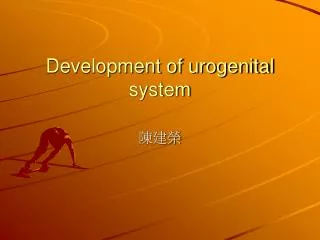 Development of urogenital system