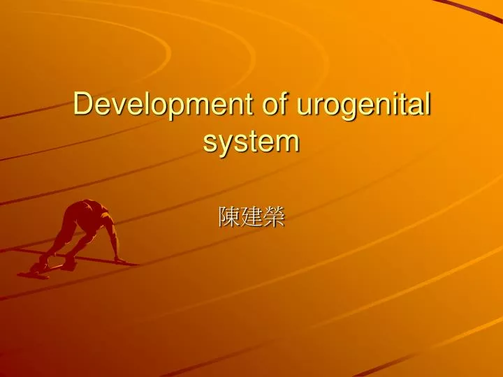 development of urogenital system