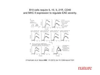 A Yoshizaki et al. Nature 000 , 1-5 (2012) doi:10.1038/nature11501