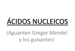 cidos nucleicos