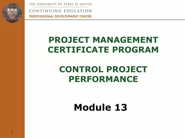 project management certificate program control project performance